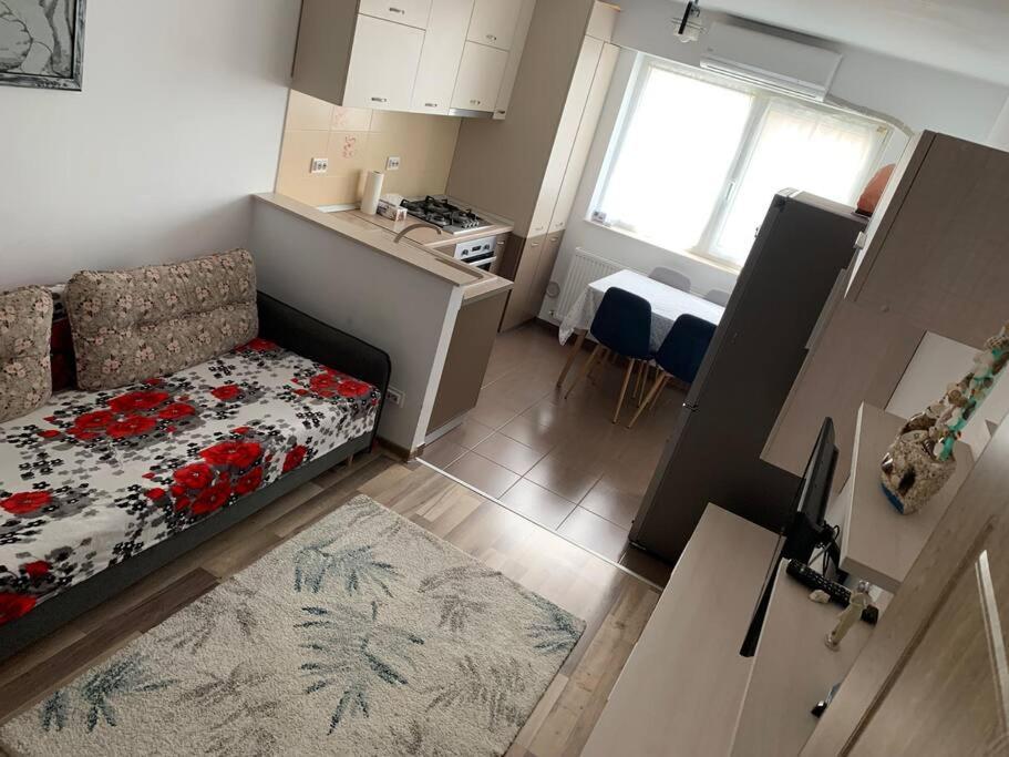 Lovely Bacau 1 Bedroom Apartment Екстериор снимка