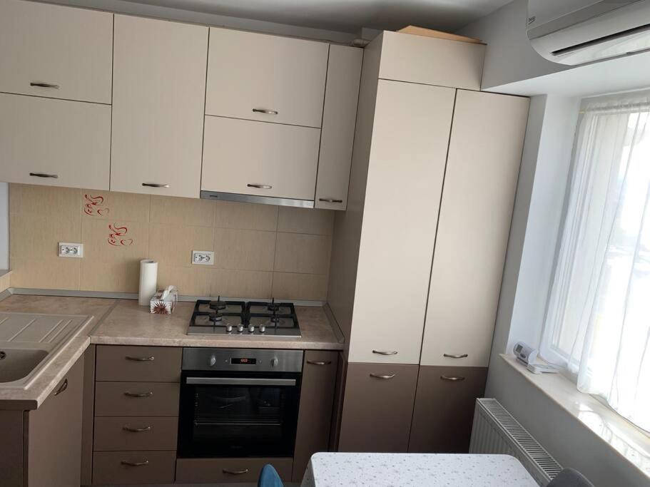 Lovely Bacau 1 Bedroom Apartment Екстериор снимка